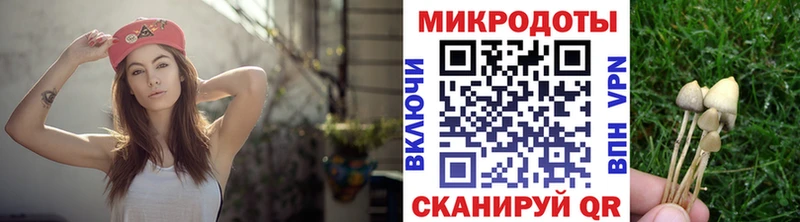 кракен сайт  Сосновоборск  Псилоцибиновые грибы мицелий 