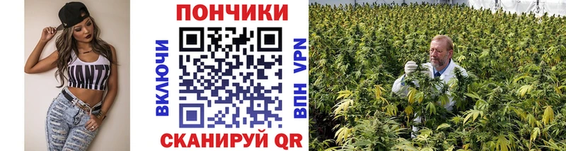 ОМГ ОМГ зеркало  Сосновоборск  Бошки марихуана конопля 