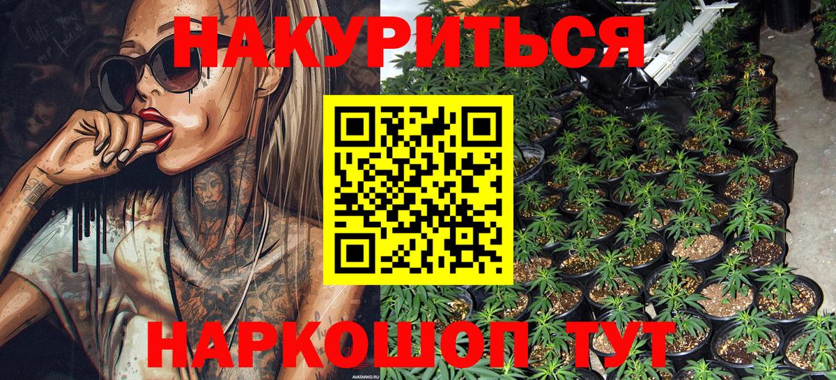 Шишки марихуана семена Сосновоборск